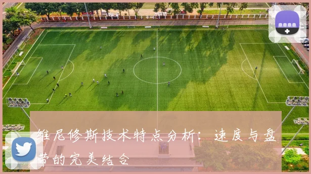 维尼修斯技术特点分析:速度与盘带的完美结合